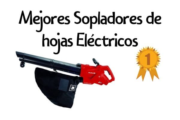 Mejores Sopladores de Hojas El├Еctrico | An├Аlisis y Opiniones